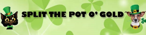 graphic featuring a cat and dog, with text Split the Pot O Gold